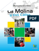 Libro Calles La Molina