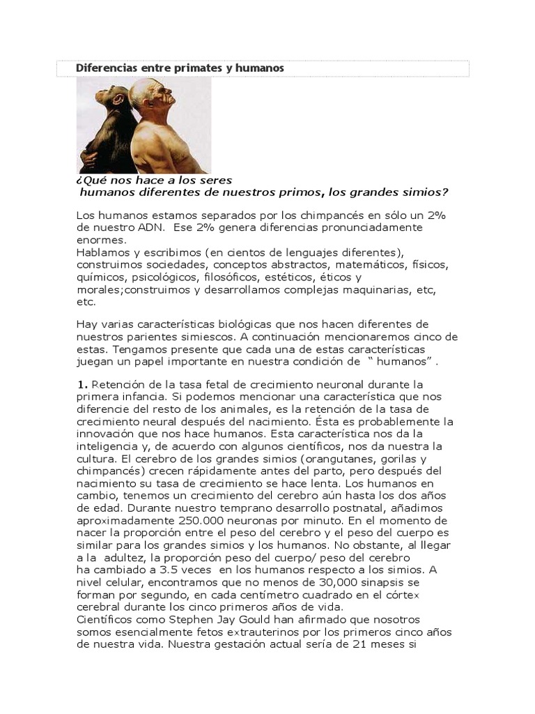 Diferencias entre humanos y primates | PDF | Homo Sapiens | Hominidae