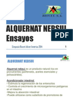 Alquernat Nebsui Ensayos 2014