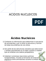 Clase 4_Ac. Nucleicos