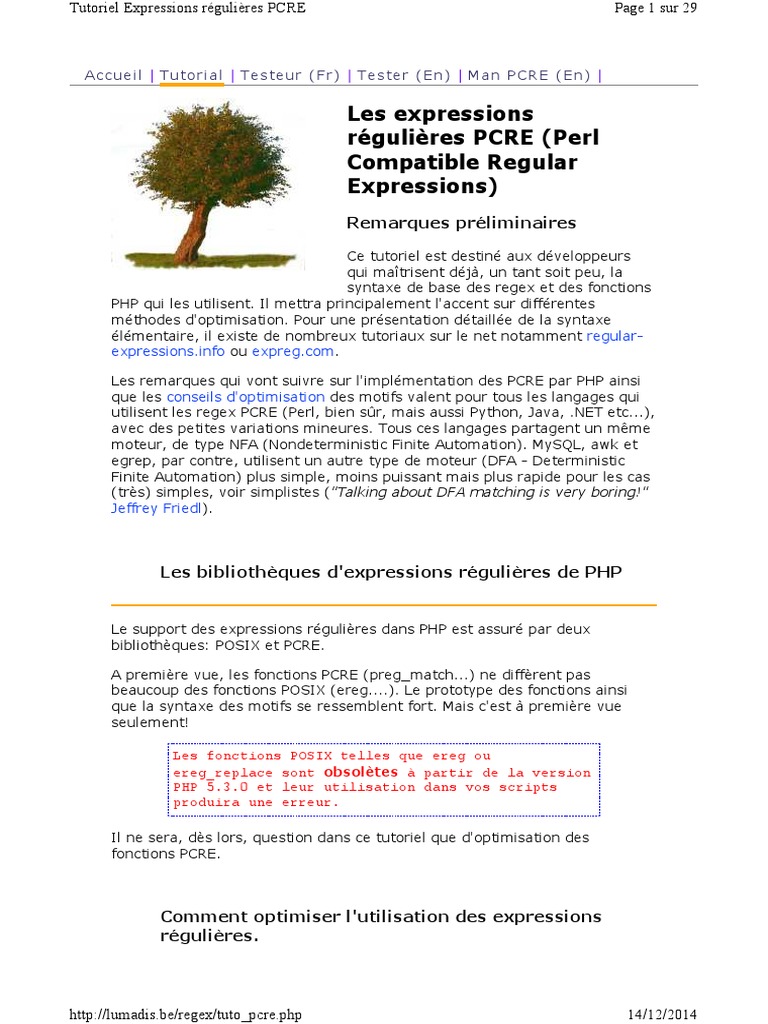 Lumadis - Be Regex Tuto Pcre PDF | PDF | Expression régulière | Perl ...