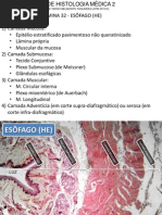 Atlas Histologia 2.pdf
