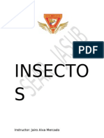 Insecto S