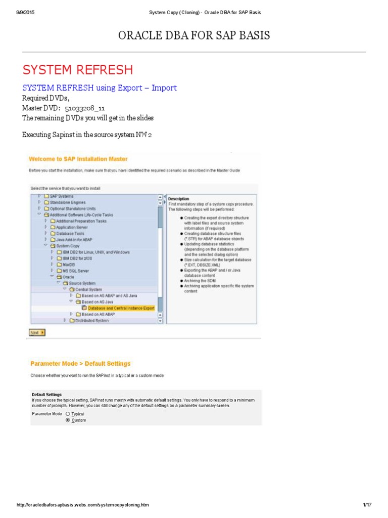System Copy (Cloning) - Oracle DBA For SAP Basis | PDF | Oracle ...