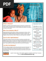 Malaria No More Netting SEE Flyer 2Page