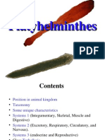 Platyhelminthes