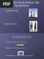 Sistema Nacional de TrÂnsito
