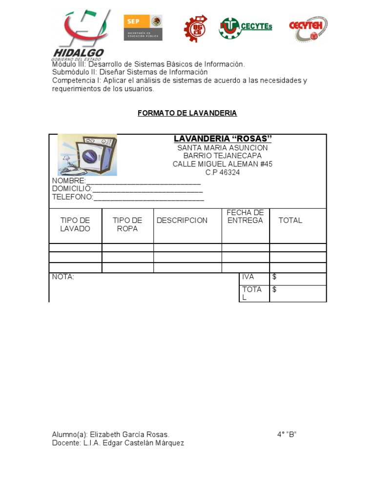 Formato de Lavanderia | PDF