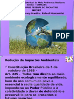Apresentação - Redução Dos Impactos Ambientais
