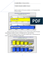 Conditii - Anul - 2013 RAPORT ACCIDENTA ITM PDF