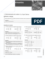 Bloque I - Algebra - Tema 3. Determinantes