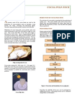 Cocoa Pulp by MCB