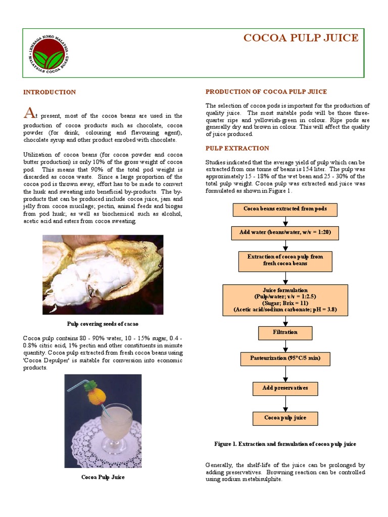 Cocoa Pulp by MCB Chocolate Cocoa Bean