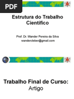 Estrutura Do Trabalho Científico
