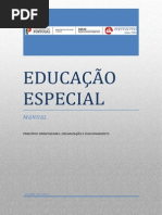 Principios Orientadores EE