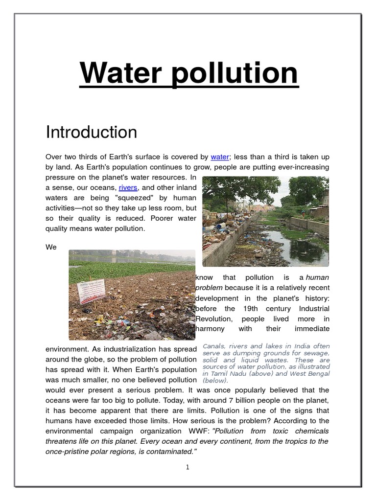 Water Pollution | PDF | Water Pollution | Sewage