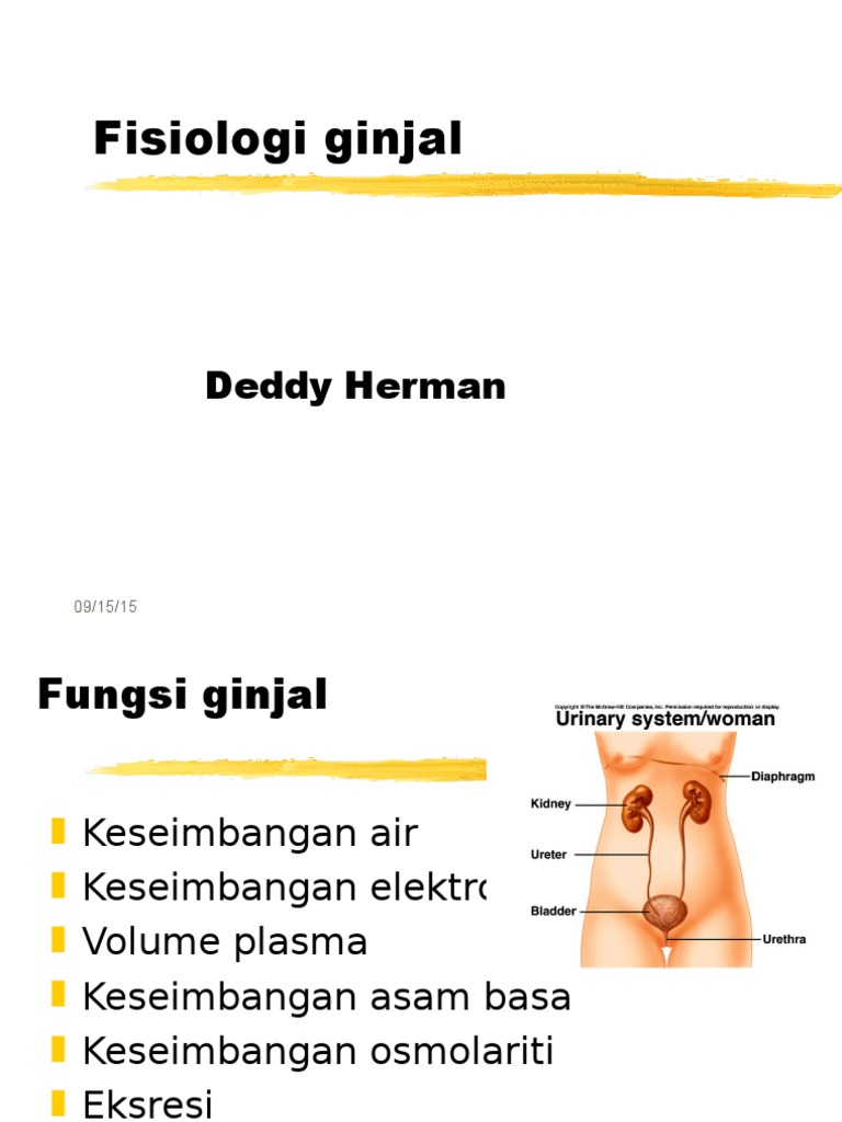 Download 940 Gambar Fisiologi Ginjal Keren 