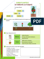 01mems1 Unitatea 1 PDF