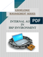 Internal Audit in Erp Environment PDF