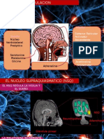 exposicion diapos