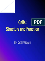 Biodas Sel STR & Func PDF