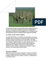"Los elefantes: sensibles, sociales y sabios"