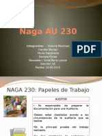 Naga AU 230: Papeles de trabajo de auditoría