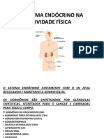 O Sistema Endócrino Na Atividade Física