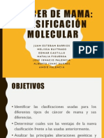 Clasificacion Molecular BRC