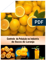 185582827-CONTROLE-DA-POLUICAO-NA-INDUSTRIA-DE-SUCOS-DE-LARANJA-Vicosa-2011.................pdf