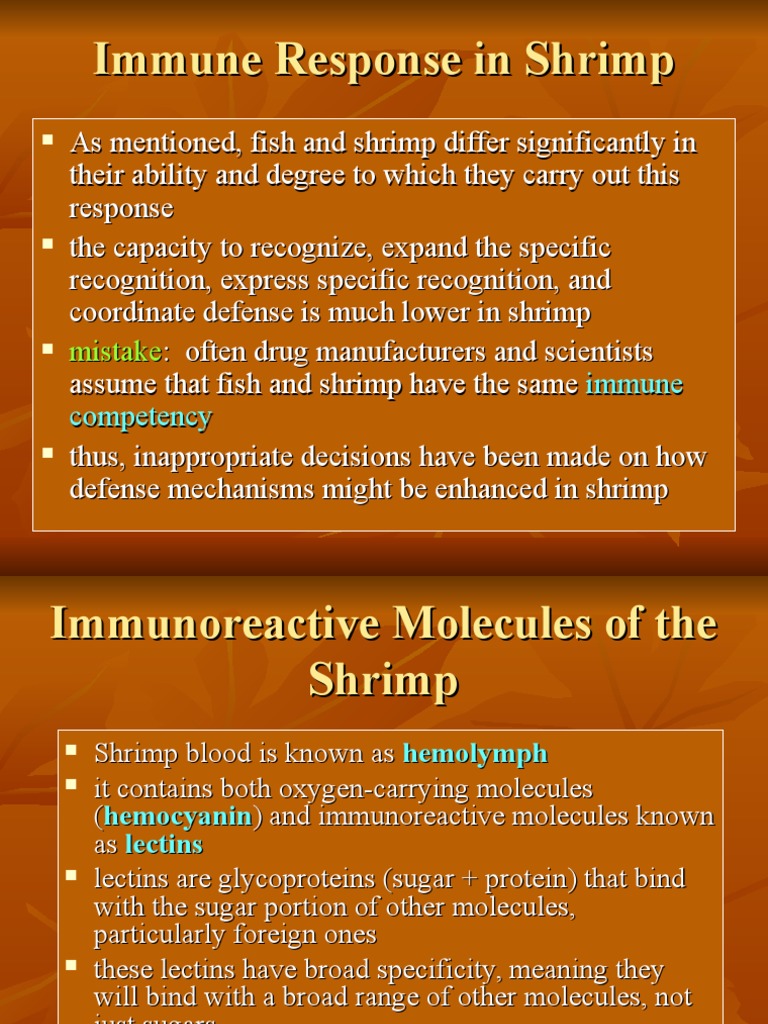 Immune Response in Shrimp | PDF | Infection | Virus