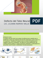 Defecto Del Tubo Neural