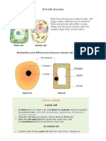 02 Cells Biology Notes IGCSE 2014.pdf