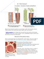 06 Plant transport Biology Notes IGCSE 2014.pdf
