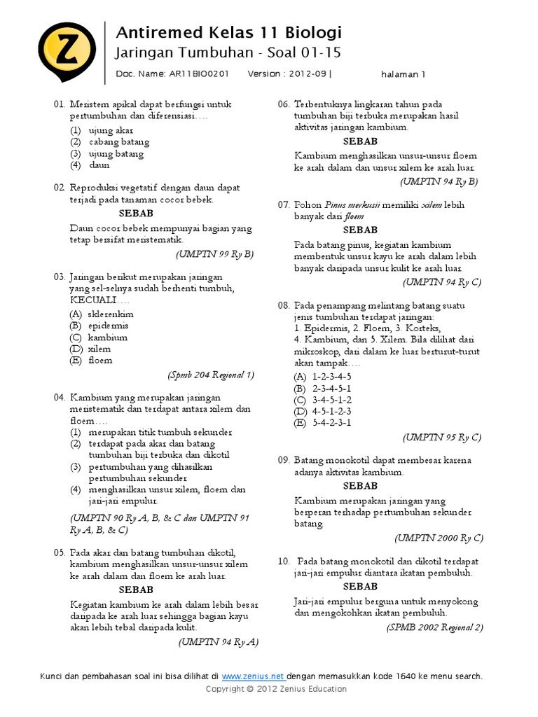 Ar11bio0201jaringantumbuhan Soal01 15