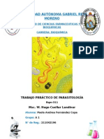 Trabajo Práctico Terminologias