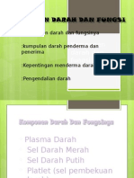 Komponen Darah Dan Fungsi