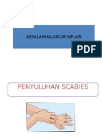 232287550 Penyuluhan Scabies Ppt