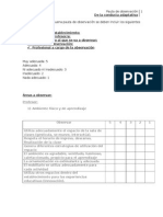 Pautas de Observación