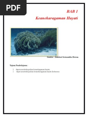 Copy Of Jadi Yeye