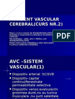 Accident Vascular Cerebral Curs 