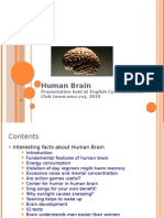 Human Brain: Presentation Held at English Communication Club (WWW - Encc.ru), 2010