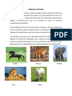 Animales Vivíparos