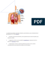 La conferencia se dividió en dieciséis comisiones y subcomisiones y sus conclusiones fueron aprobadas por S.docx