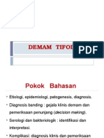 Demam Tifoid