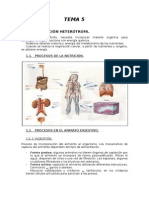 TEMA 5 Apuntes 1 Bachilller Biologia