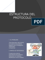 Estructura Del Protocolo