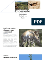 Animales y Flora Desierto1