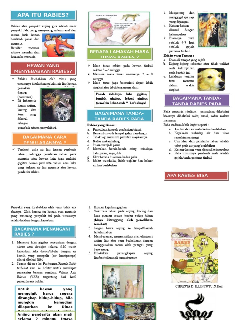 Leaflet Rabies