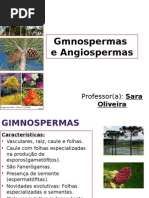 Gmnospermas e Angiospermas.pptx